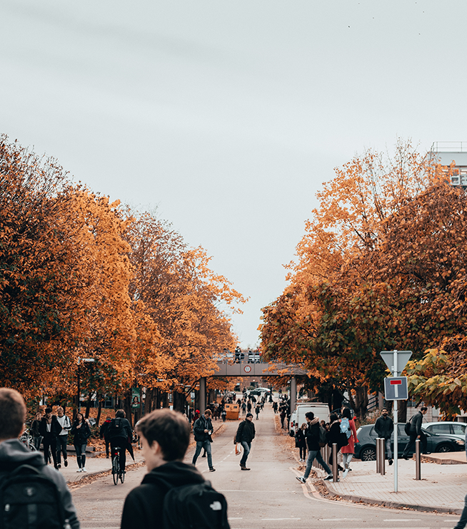 Orange leaves on campus with students. 