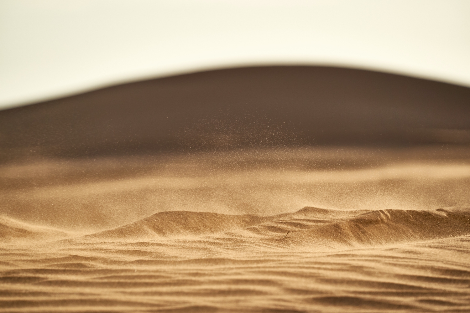 Sand close up.